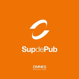 Logo SUP DE PUB